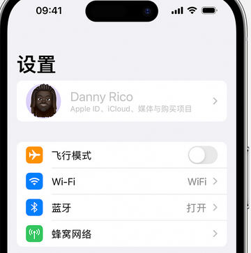 荣昌appleID维修服务iPhone设置中Apple ID显示为灰色无法使用