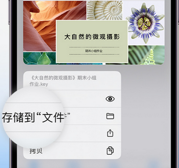 荣昌apple维修中心分享iPhone文件应用中存储和找到下载文件