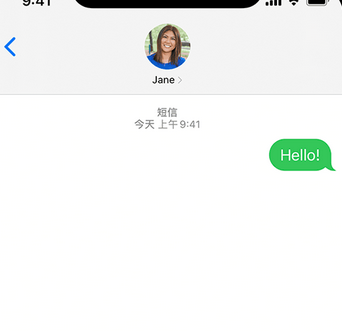 荣昌apple维修iPhone上无法正常发送iMessage信息