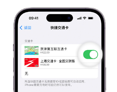 荣昌apple维修点分享iPhone上更换Apple Pay快捷交通卡手绘卡面 