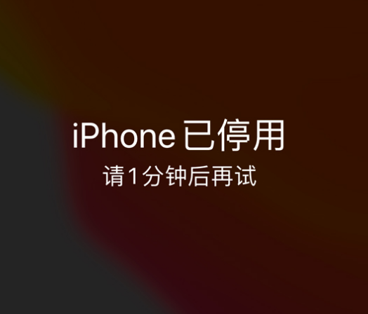 荣昌苹果手机维修分享:iPhone 显示“不可用”或“已停用”怎么办？还能保留数据吗？ 