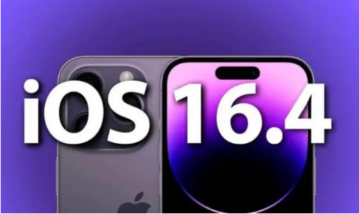 荣昌苹果14维修分享：iPhone14可以升级iOS16.4beta2吗？ 