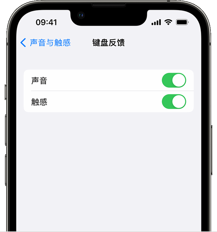 荣昌苹果14维修店分享如何在 iPhone 14 机型中使用触感键盘 