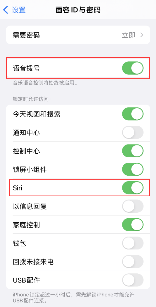 荣昌苹果维修网点分享不解锁 iPhone 的情况下通过 Siri 拨打电话的方法 