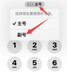 荣昌苹果14维修店分享iPhone 14 Pro Max使用副卡打电话的方法 