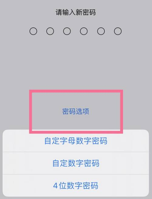 荣昌苹果14维修分享iPhone 14plus设置密码的方法 