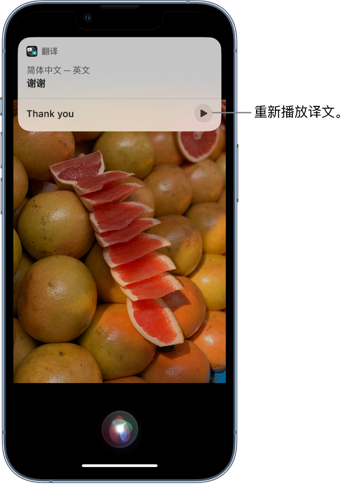 荣昌苹果14维修分享 iPhone 14 机型中使用 Siri：了解 Siri 能帮你做什么 