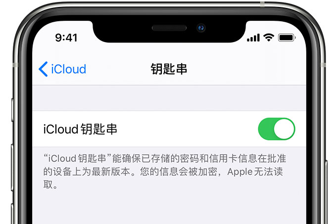 荣昌苹果手机维修分享在 iPhone 上开启 iCloud 钥匙串之后会储存哪些信息 