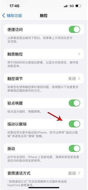 荣昌苹果手机维修分享iPhone手机如何设置摇一摇删除文字 