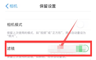 荣昌苹果13维修分享iPhone13拍照有绿点是怎么回事 