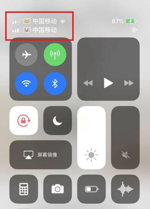荣昌苹果手机维修分享为 iPhone 12 双卡设置标签 