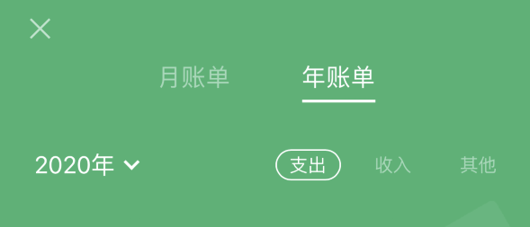 荣昌苹果手机维修分享如何在 iPhone 上查看支付宝和微信年支出账单 