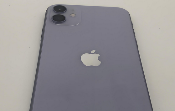 荣昌苹果11系统维修分享iPhone11手机系统崩溃无法开机如何解决 